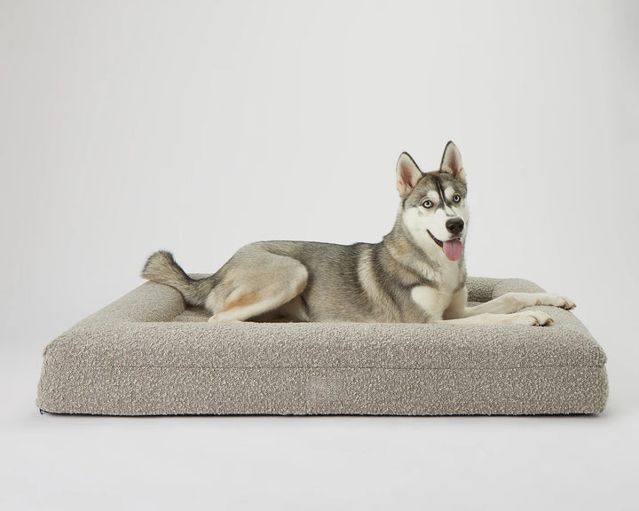 the puppabear bed - stone