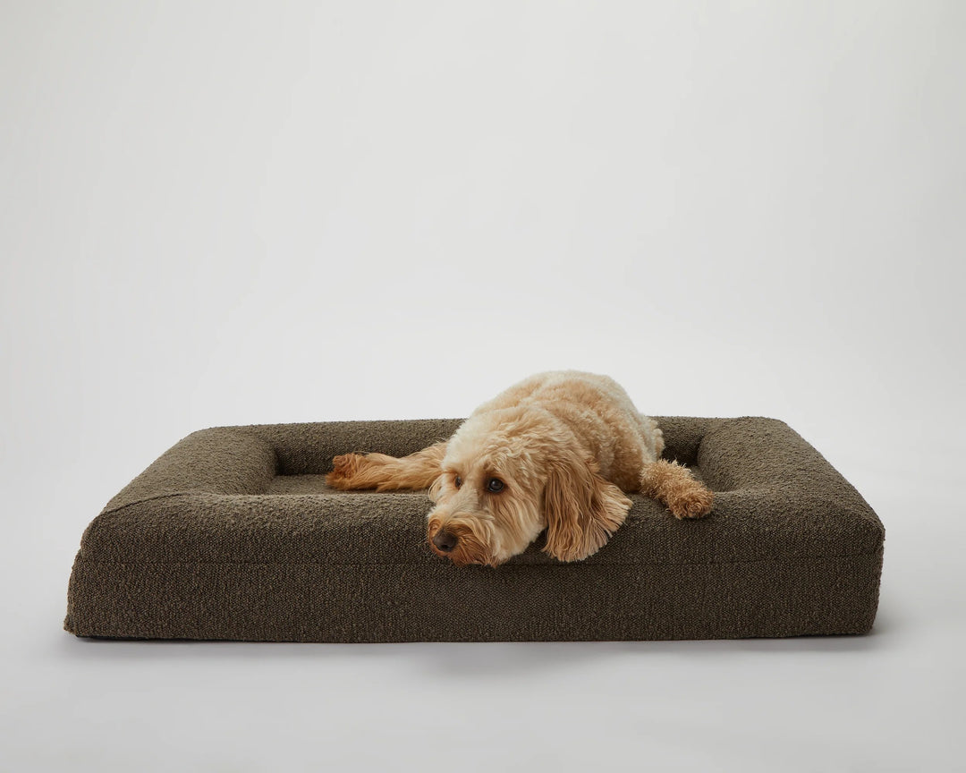 the puppabear bed - espresso