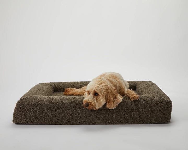 the puppabear bed - espresso