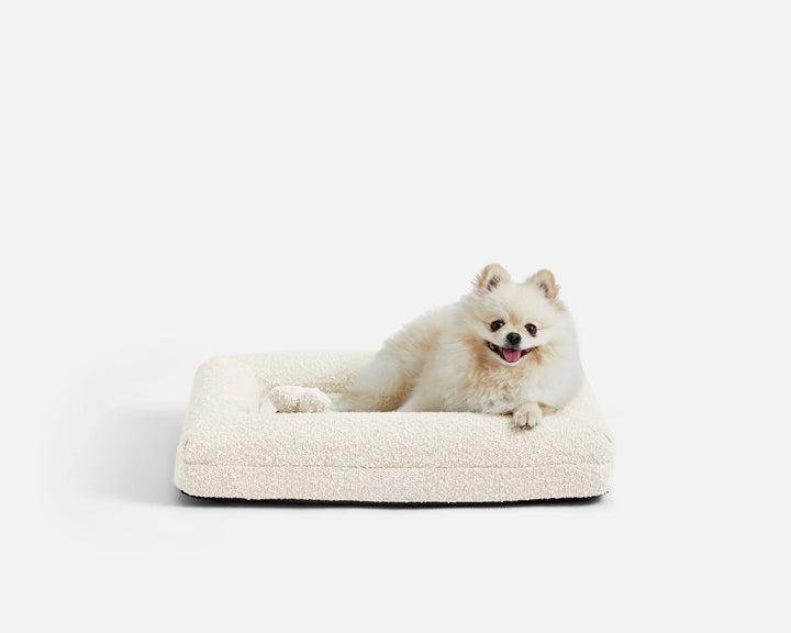 the puppabear bed - oatmilk